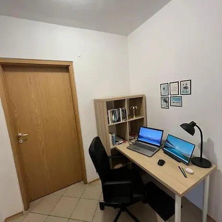 Large In Sunny Appartement