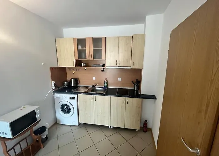 Large In Sunny Appartement